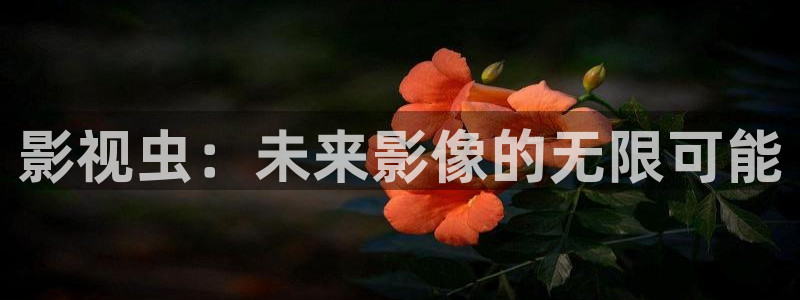 日本伦理影院我不卡